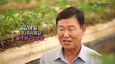 "설향" 넘어 수출용까지…국산 딸기 종자 주권 확보에 나선 육종 전문가