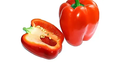 애호박·토마토 22일 할인 추가 예정…결제 조건 확인