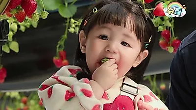 딸기 맛에 빠진 하루, 수확보다 먹기가 우선인 딸기농장 나들이