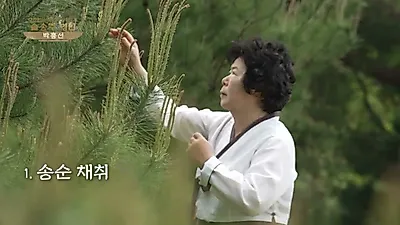 500년 이어온 하동 정씨 가문의 고집, 솔송주에 담긴 시간