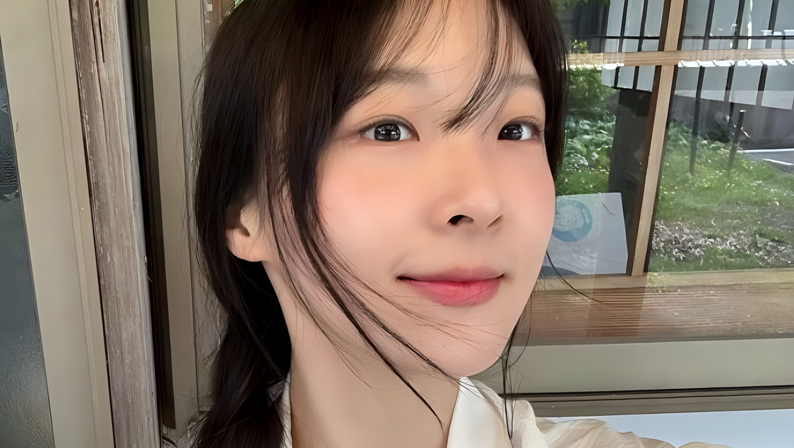 이서경, 아이유 응원했다가 정치 댓글에 맞섰다