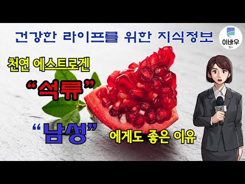 천연 에스트로겐 '석류'가 남성에게도 좋은 이유(+효능,부작용)