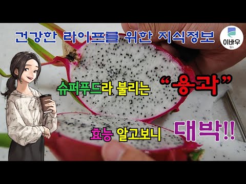 슈퍼푸드라 불리는 '용과' 효능 알고보니 대박
