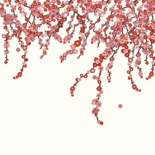 스텔라박 강릉의 봄 앨범자켓