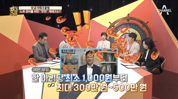 '한마리에 천 만원?' 새우 키워서 노후자금 마련했어요