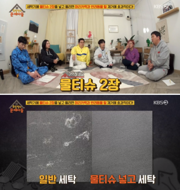 세탁 시 반려동물 털 말끔히 없애준다는 '이것'의 정체