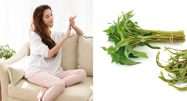 먹으면 피부 하얘지는 의외의 채소(+효능, 요리법)