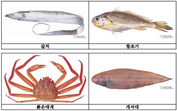 7월에는 갈치ㆍ참조기ㆍ붉은 대게를 지켜주세요
