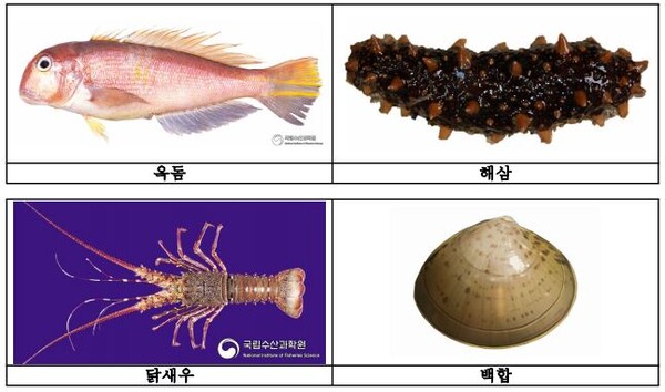 7월 금어기 대상어종