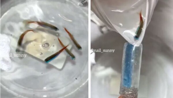 '손톱에 살아있는 물고기 넣어버려'…여론 뭇매 맞은 러 네일샵