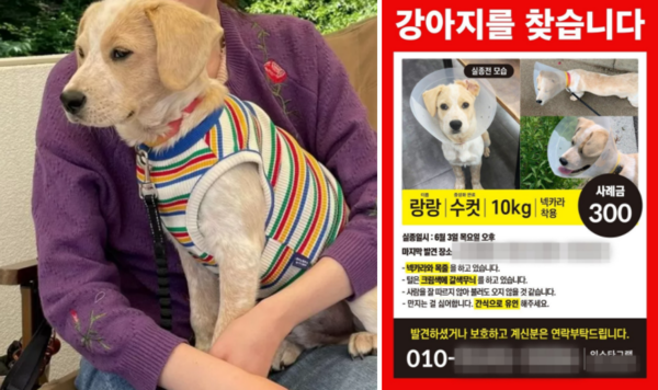 동물병원에 맡겨진 '랑랑이' 결국 사체로 돌아와