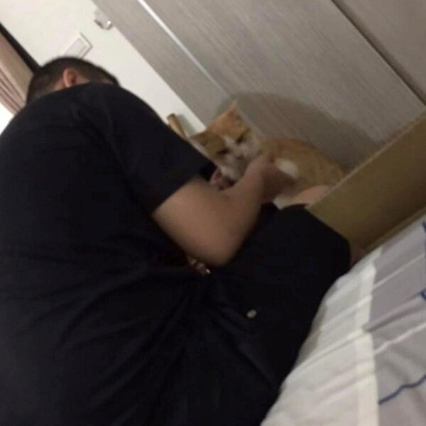 "침대에 못 올라오게 해!" 고양이 싫어하던 남자친구의 근황