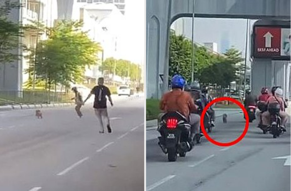 "위험해!" 오토바이 운전자들이 도로에 몰려든 이유