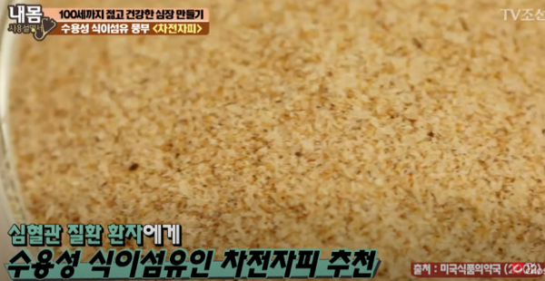 V조선 내몸사용설명서 캡처