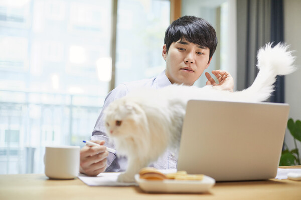 재택근무 중 야근하면 수당 받을 수 있나요?