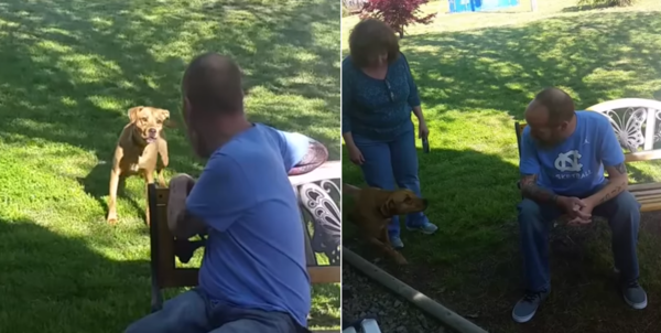 건강 악화로 살이 20kg 넘게 빠진 주인을 본 댕댕이 반응
