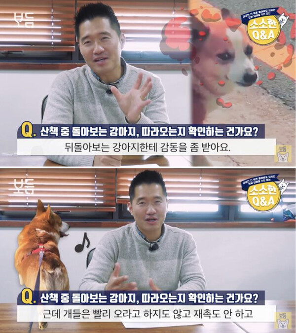 우리집 강아지가 산책 중에 뒤돌아보는 '진짜 이유'