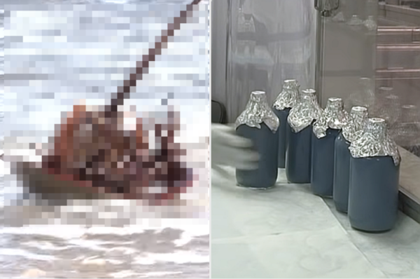 백신 테스트로 대체할 만한 것 없다는 '파란 피'의 정체