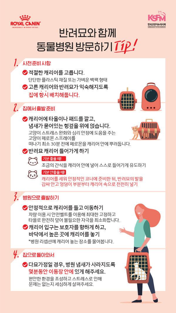 로얄캐닌, 병원방문에 어려움을 느끼는 보호자들을 위한 ‘반려묘와 함께 동물병원 방문하기 팁’ 제안