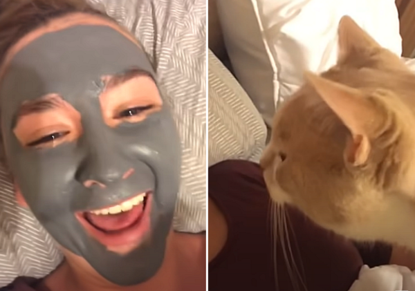 고양이 앞에서 진흙 마스크팩하면 벌어지는 일