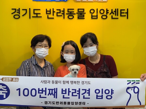 반려동물 입양센터 100번째 입양견 ‘한솔이’ “임시보호로 건강도 찾고, 새 가족도 찾았어요!”