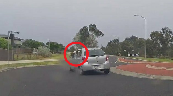 출처=@Dash Cam Owners Australia / Facebook