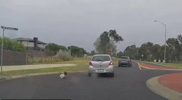 출처=@Dash Cam Owners Australia / Facebook
