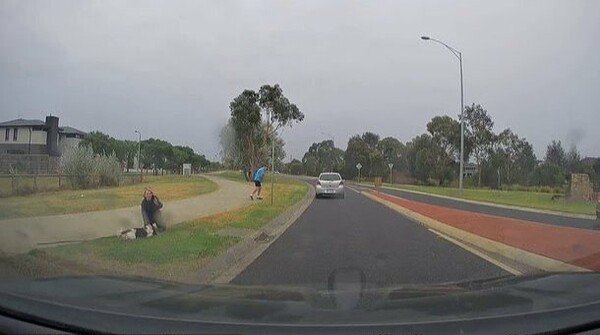 출처=@Dash Cam Owners Australia / Facebook