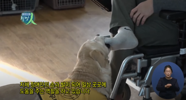 (출처=복지 TV 공식 유튜브 채널)