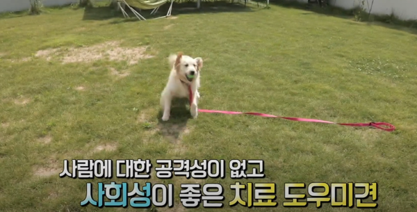 (출처=MBClife 공식 유튜브 채널)
