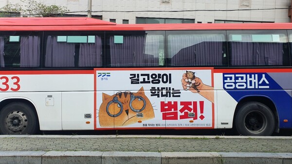 “길고양이 학대는 명백한 범죄!” 경기도, 공공버스 활용해 대국민 홍보 나서
