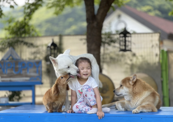 제14회 동물사랑 사진 공모전」입상작 발표