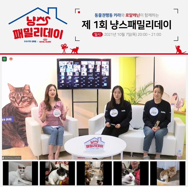행사 개최 이미지 (참석자들이 랜선으로 실시간 소통하는 모습)