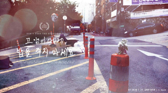 "고양이한테 밥주지 마세요"