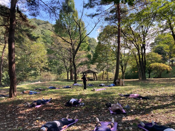 산림교육원, 업무상 스트레스 직군 대상 '숲속힐링과정' 운영