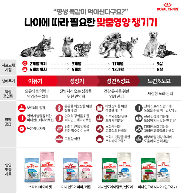 반려견의 평생건강 위한다면 ‘3,11,9’을 기억하세요