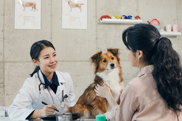 제1회 동물보건사 자격시험 시행 공고