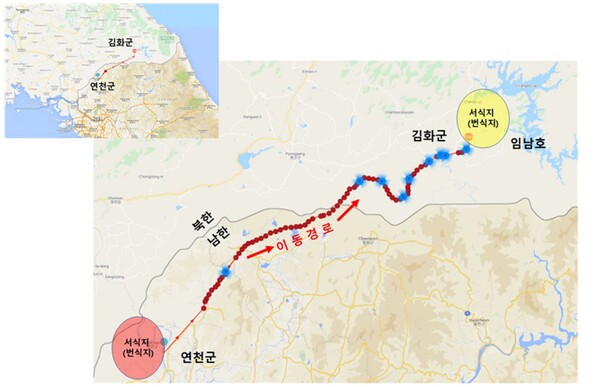 연천 양비둘기의 서식지 및 이동경로