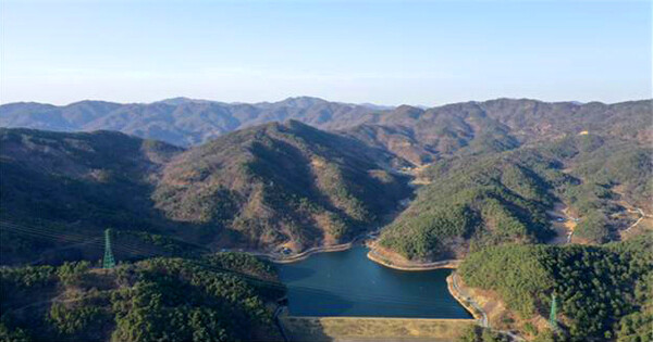 충주 오청산 국유림 명품숲 전경