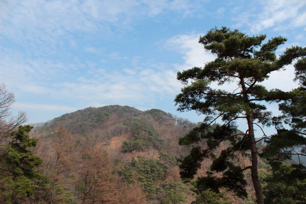 충주 오청산 근경