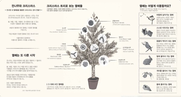 크리스마스 트리로 보는 다양한 열매들