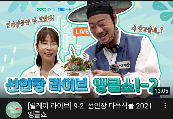 농기원, 라이브 커머스 등 다육식물 소비 확대 위한 ‘온라인 비즈니스 모델’ 개발