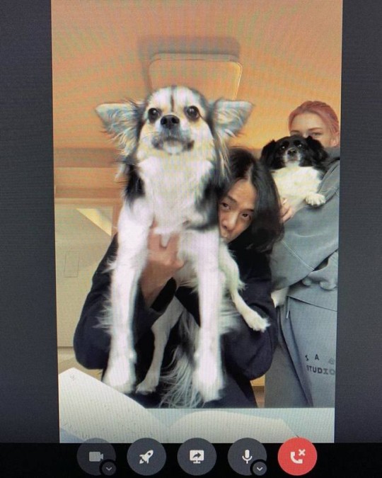 출처 빈지노 인스타그램