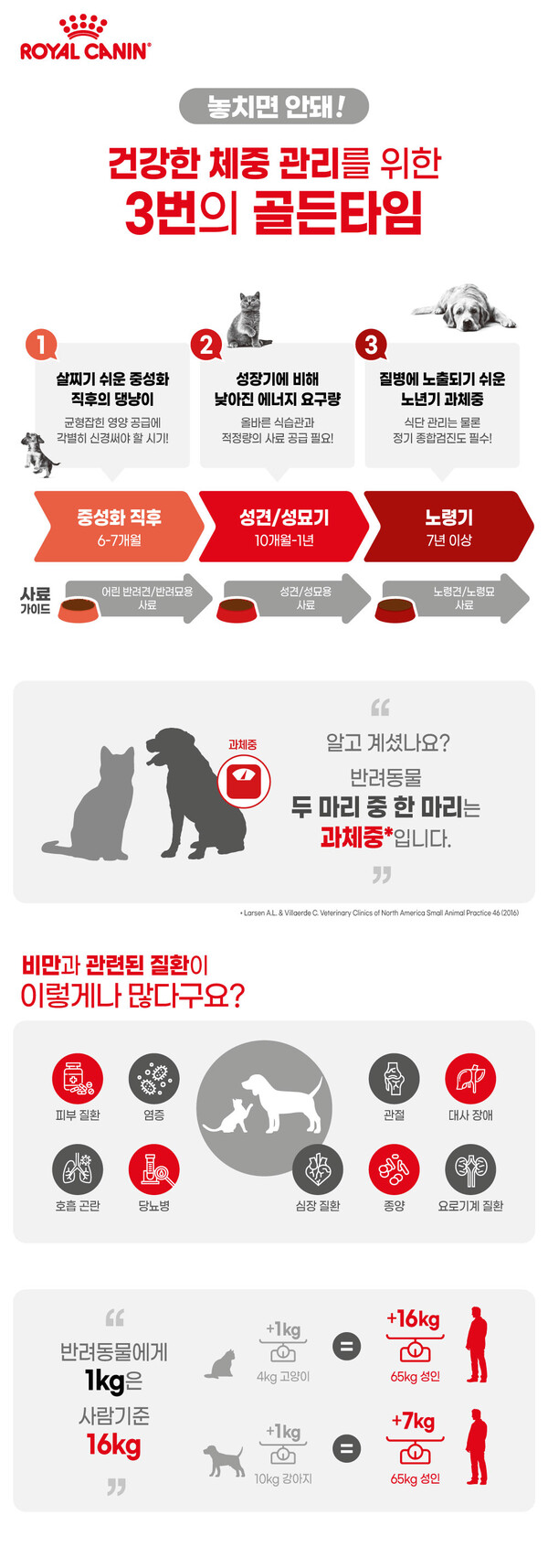 반려동물, 자칫 방심하다가 ‘과체중, 비만’으로… 보호자들의 세심한 급여 관리가 필수