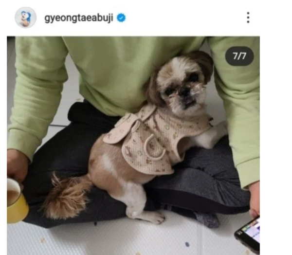 반려견 치료비 후원금으로 스포츠 토토를?