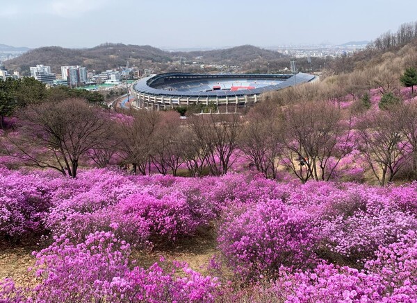“봄꽃 만개한 경기둘레길 걸어요”…도, 봄꽃명소 2개 코스 소개