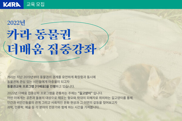 동물권행동 카라, ‘길고양이’ 혐오 확산에 맞서 동물권 연속강좌 개최