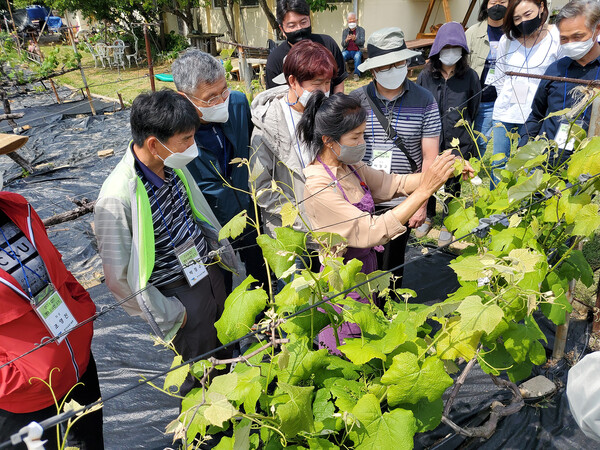경기도 농기원, 6월 9일까지 신규 농업인 위한 ‘과수반 교육생’ 모집