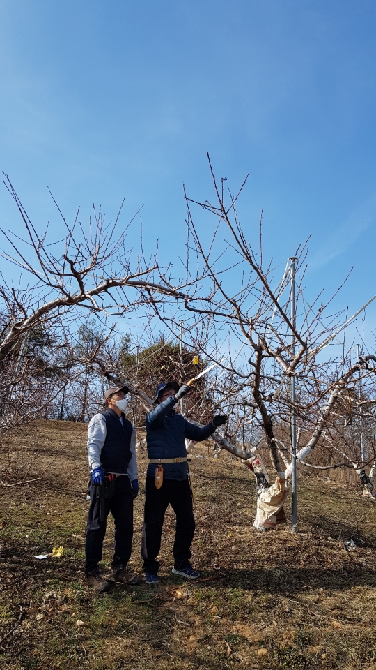 신규농업인교육(정지전정+교육)