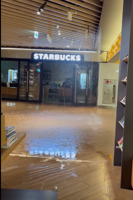 코엑스에도 물 샜다…별마당 도서관 책 다 젖어 